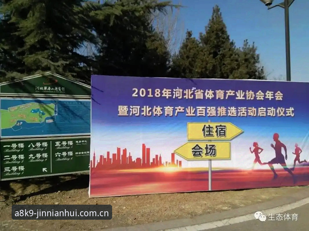 金年会体育平台休闲使用指南深度分析：从注册到实战的全流程解析